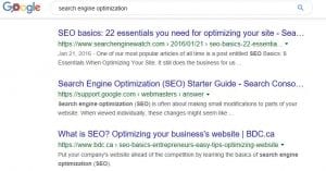 SERP snippet example